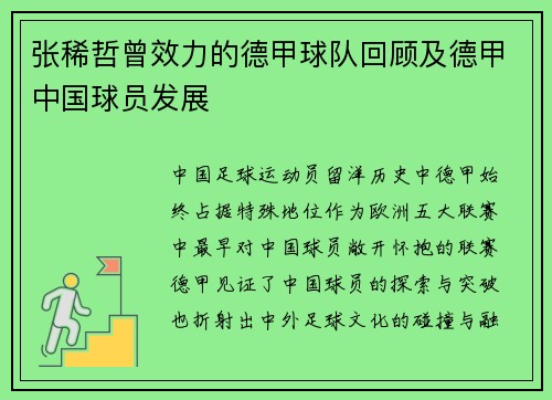 张稀哲曾效力的德甲球队回顾及德甲中国球员发展